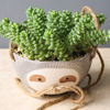 SLOTH POT